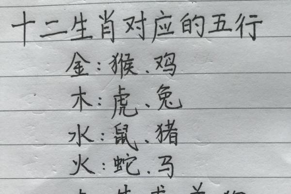 2019年土猪年:揭示十二生肖与五行命理的深奥秘密 2019年土猪年:揭示十二生肖与五行命理的深奥秘密