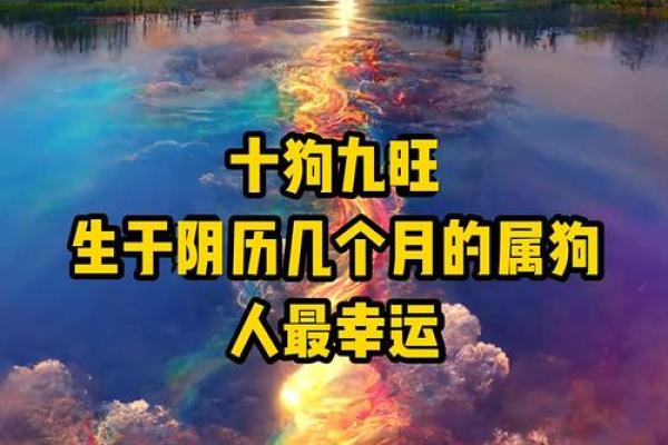 2020年狗年:木命与水命的深度解读与影响 2020年狗年:木命与水命的深度解读与影响