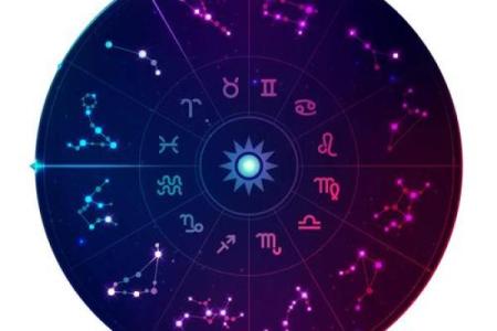 年轮稀疏揭示的命运密码：解读生活中的时间痕迹