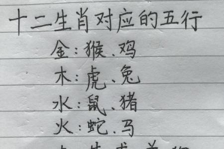 2019年土猪年：揭示十二生肖与五行命理的深奥秘密