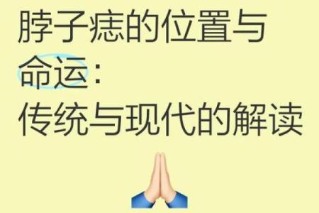 探秘虎年出生者的命运奥秘与人生轨迹