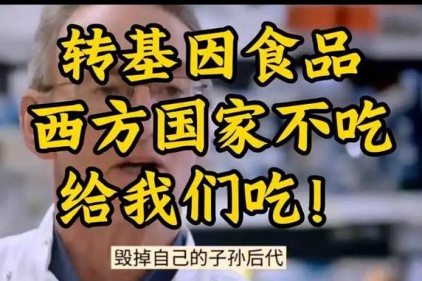 山寨食品的崛起:传统美味的新挑战与机遇 山寨食品的崛起:传统美味的新挑战与机遇