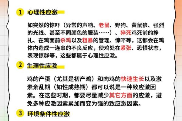 属鸡人的命运解析:勇敢、机智、细致的生活哲学 属鸡人的命运解析:勇敢、机智、细致的生活哲学