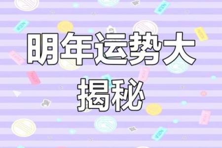 1984年出生的你，命中注定有什么样的特点与运势？