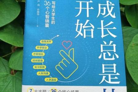 1977年出生的人生旅程：解析未时的命运与心灵成长