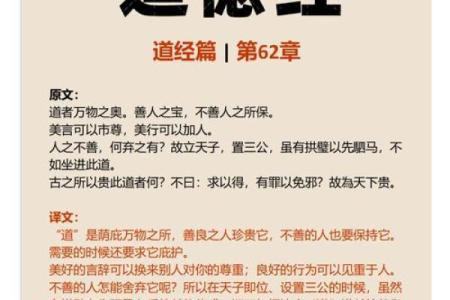 探索僧道命：安宁与智慧的理想生活之道