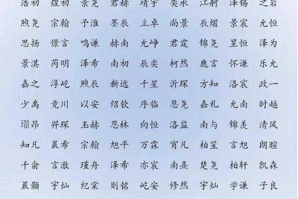 如何为男孩起名字?姓氏与名字的完美结合指南 如何为男孩起名字?姓氏与名字的完美结合指南