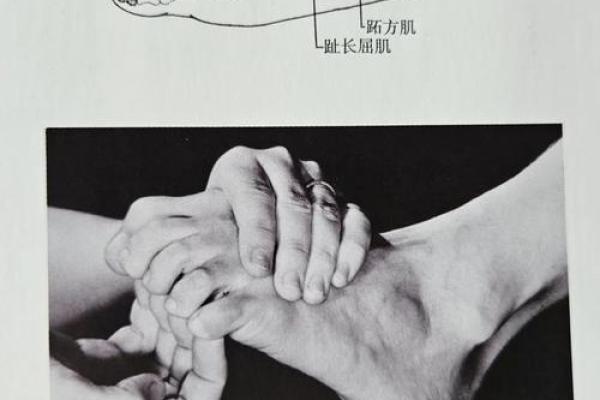 男人脚趾最短的秘密:揭示命运与性格之间的微妙联系 男人脚趾最短的秘密:揭示命运与性格之间的微妙联系