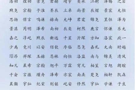 如何为男孩起名字？姓氏与名字的完美结合指南