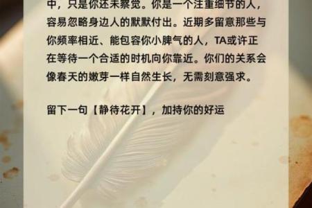 探秘你的命运：通过心理测试了解今生的轨迹