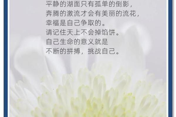 四两五命的女人:命理解析与人生智慧 四两五命的女人:命理解析与人生智慧