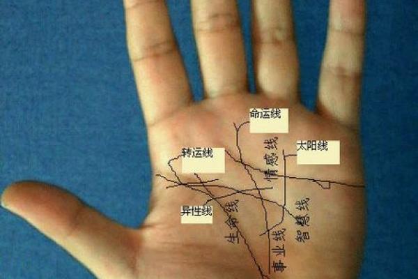 算命双手横纹解析:揭示你命运的秘密与可能性 算命双手横纹解析:揭示你命运的秘密与可能性