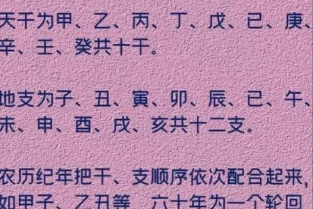 酉时出生的人：命理解析与生活智慧