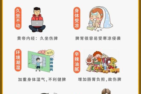 79年火命的颜色选择与生活智慧探讨 79年火命的颜色选择与生活智慧探讨