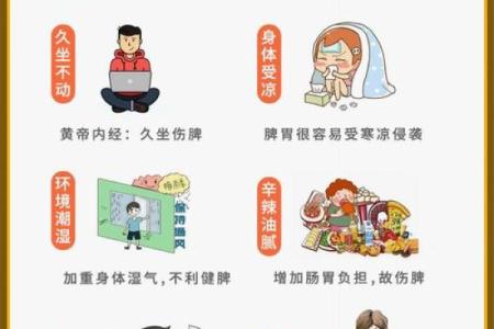 79年火命的颜色选择与生活智慧探讨