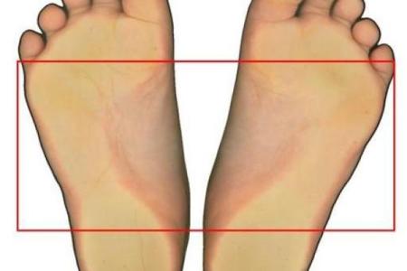 中间脚趾长的人生命运解析：你不知道的秘密