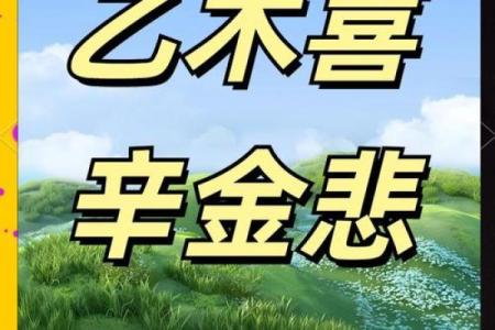 辛金命适合什么行业：探索事业发展新天地