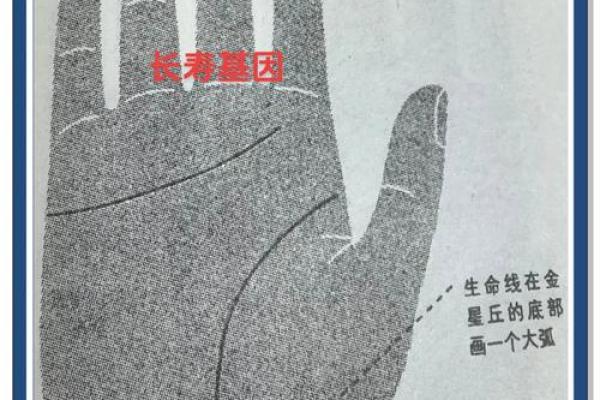 手掌中的秘密:掌握手相,揭示生命与命运之谜 手掌中的秘密:掌握手相,揭示生命与命运之谜