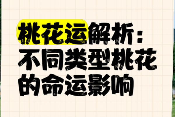 桃花命:探讨桃花运的深层意义与人生启示 桃花命:探讨桃花运的深层意义与人生启示