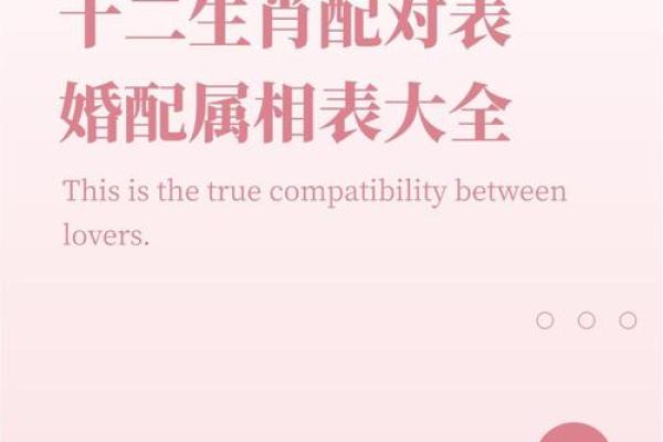 木命与最佳属相搭配：找到你的幸运伙伴！