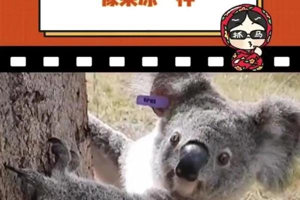 在一命换一命的背后:揭秘动物之间的生死较量与牺牲 在一命换一命的背后:揭秘动物之间的生死较量与牺牲