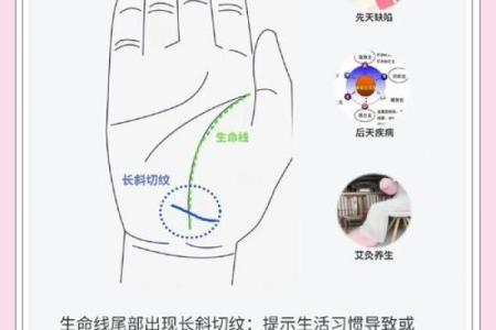 手掌中的秘密：掌握手相，揭示生命与命运之谜