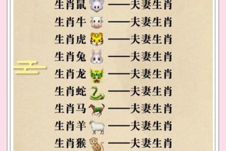 木命与最佳属相搭配：找到你的幸运伙伴！