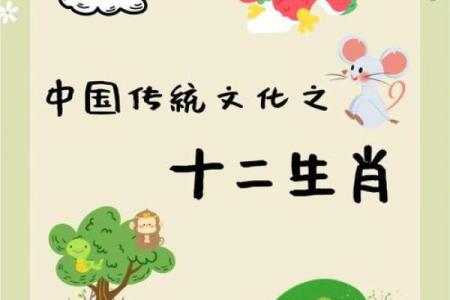 2017年出生的宝宝生肖解读：羊年的魅力与独特之处