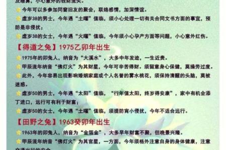 2017年是火兔年，解读兔命之人如何在火焰中绽放光彩