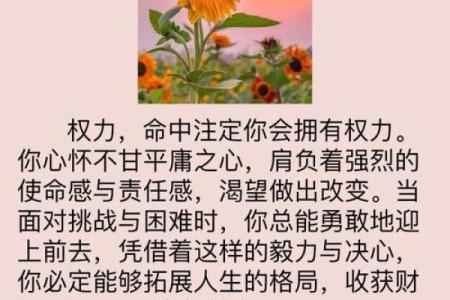 探讨“命”“成语”的深刻内涵与人生智慧