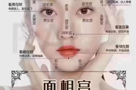 眉毛宽的人命运如何？探讨宽眉与性格、命理的深层联系