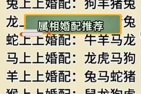 1966年命婚配：解读不同生肖的缘分与婚姻