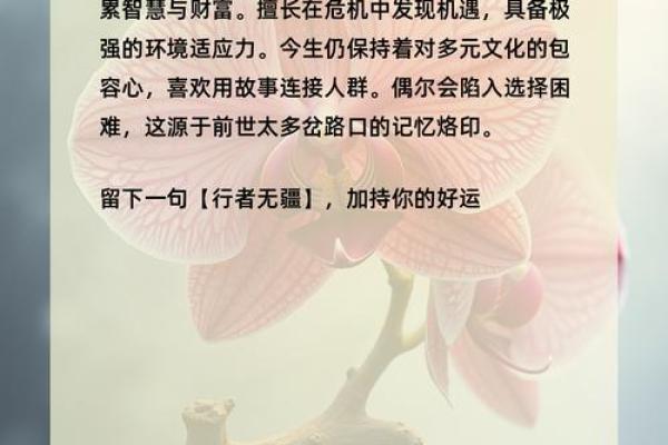 男人兰花命:探寻生命中的独特魅力与内涵 男人兰花命:探寻生命中的独特魅力与内涵