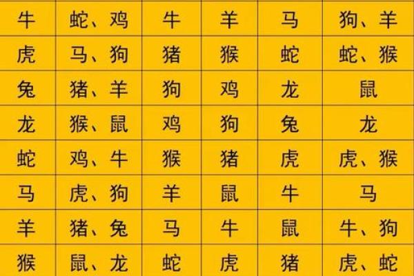 探索生肖命理:每个属相背后的命运玄机 探索生肖命理:每个属相背后的命运玄机
