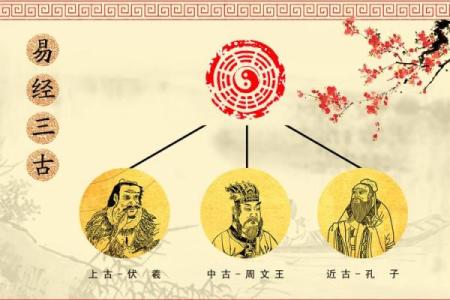 乙木女命缺土，如何寻找命理中的平衡与幸福？