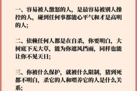 运筹帷幄，顺势而为：掌握命运与机会的智慧