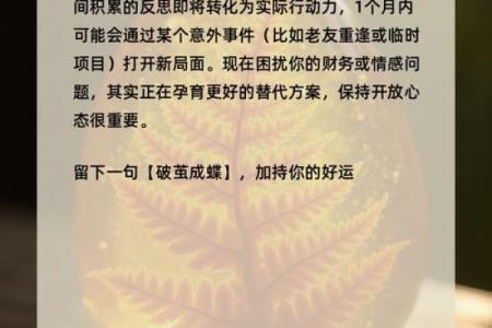 水命与金命 探索运用元素平衡人生的重要性