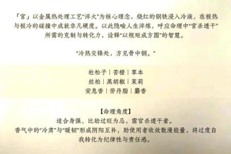 04年2月出生者的五行命理解析与人生运势探讨