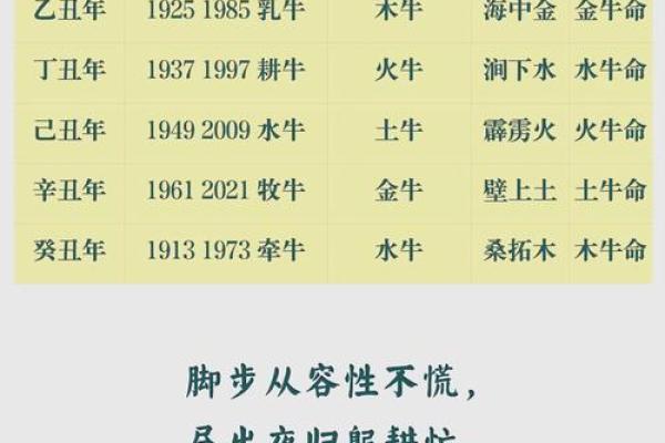 1976年出生的人：命运与性格的精彩解析