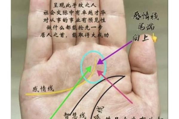 探秘断掌手女生的命运与个性特征，究竟是幸运还是坎坷？