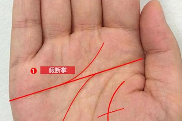 男生右手断掌线的秘密：揭示命理中的神秘特征与命运转折