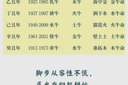 1976年出生的人：命运与性格的精彩解析