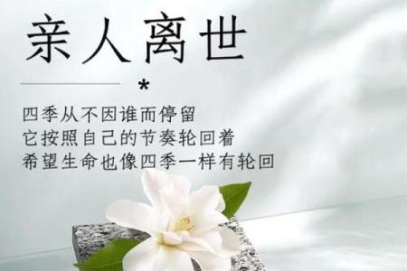 揭开羁命的神秘面纱：人生中的宿命与自由交织