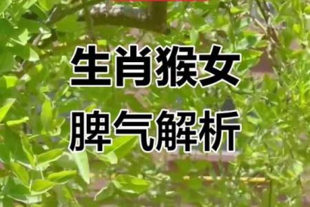 2016年猴年：属猴人的命运与性格分析