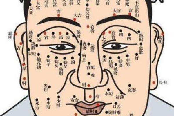 眉毛长的男生：命运与个性的奇妙关联