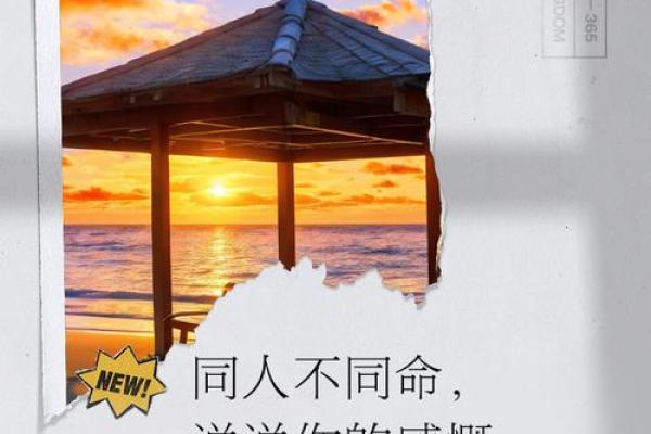 人的命与树的命:生命之美与脆弱的对比 人的命与树的命:生命之美与脆弱的对比