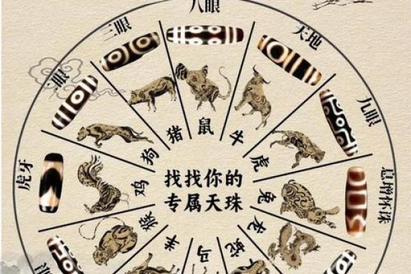 揭秘生肖图腾命:你的命运与生肖吉凶的关系 揭秘生肖图腾命:你的命运与生肖吉凶的关系