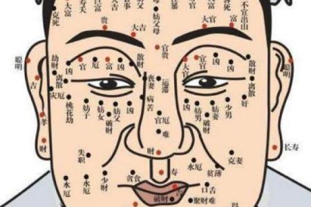 眉毛长的男生：命运与个性的奇妙关联