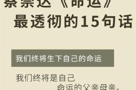 迁移之命：命理中揭示人生的转变与机遇