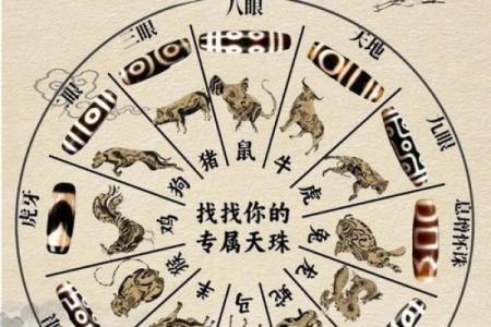 揭秘生肖图腾命：你的命运与生肖吉凶的关系